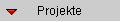 Projekte