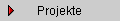 Projekte