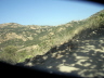 coripata_gr_06_01