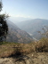 coripata_gr_06_12