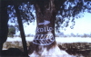kollo03_dorf_g