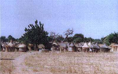 kollo04_dorf_g