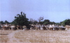 kollo04_dorf_g